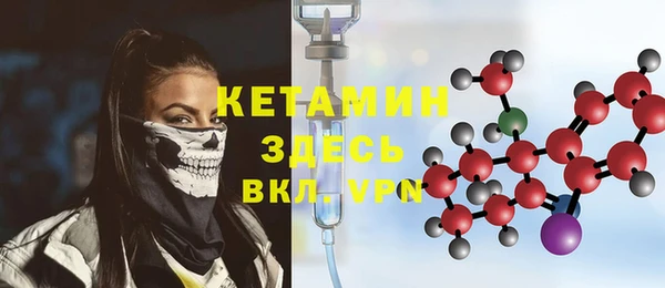 индика Богданович