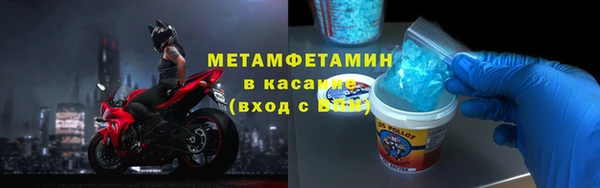 индика Богданович