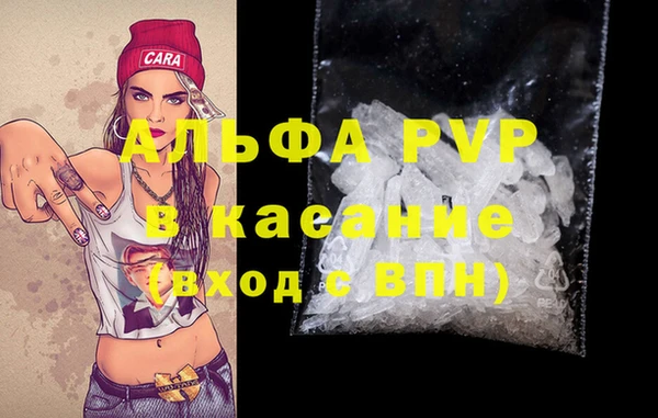 индика Богданович