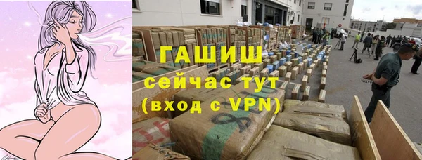 индика Богданович