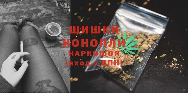индика Богданович