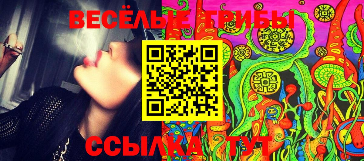 ГАШИШ  Alpha-PVP СК   Каннабис  Cocaine  Амфетамин   ГАШ  Где купить наркотики?  Вход с VPN  Вязники  Меф кристаллы 