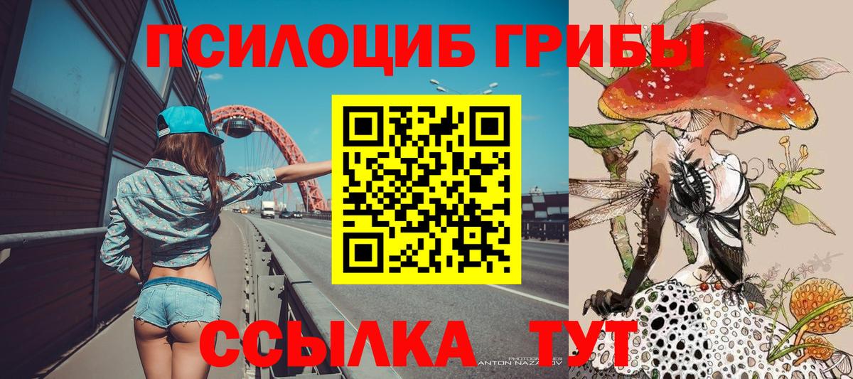 Вязники  Псилоцибиновые грибы мухоморы  Псилоцибиновые грибы MAGIC MUSHROOMS  Вход с VPN 