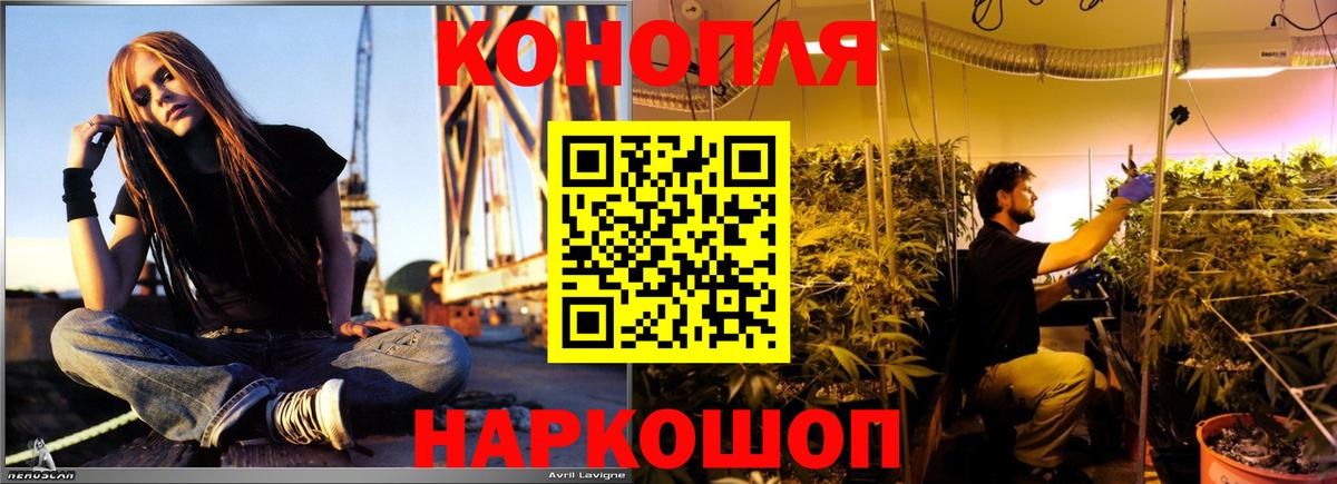 Бошки марихуана MAZAR  Канабис OG Kush  Конопля VHQ  Вязники  Вход с VPN  Каннабис сатива 